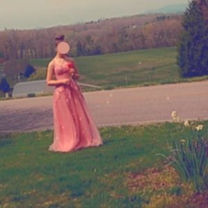 JJ's House dusty/blush pink Prom Dress, Size 3/4